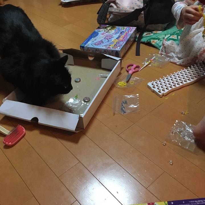 17b638bd fe4e 48cb a735 d55d9daa8e1a