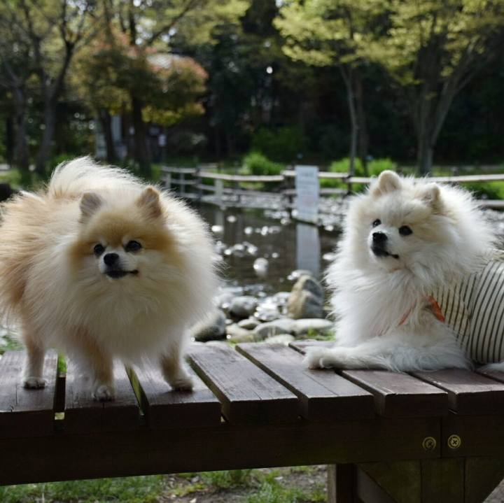 17b644f7 2db7 46bb a443 3db316f14d25