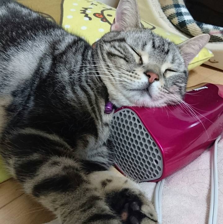 17b7102c 8e60 4d26 8fd3 ea9f4036c3e7