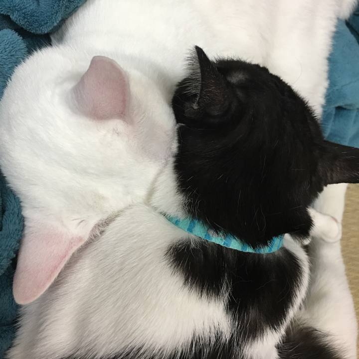 17b760c5 e92e 4ad8 b218 b588c94974fc