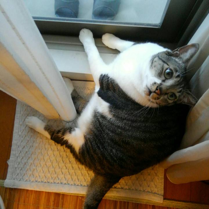 17b87ab2 c7ac 4851 aa0e c83c153a3a76