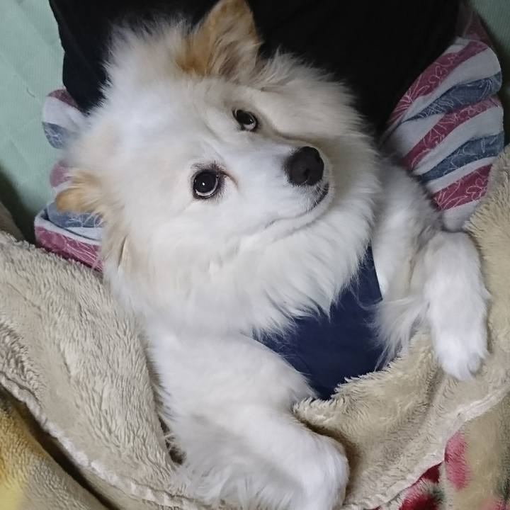 17b98a43 7b10 48b5 bc35 9451637e6df3