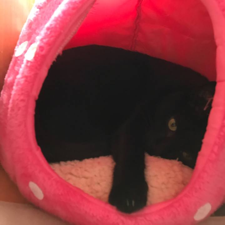 17b9bb51 357a 40c9 a9e7 736fa319dd0b