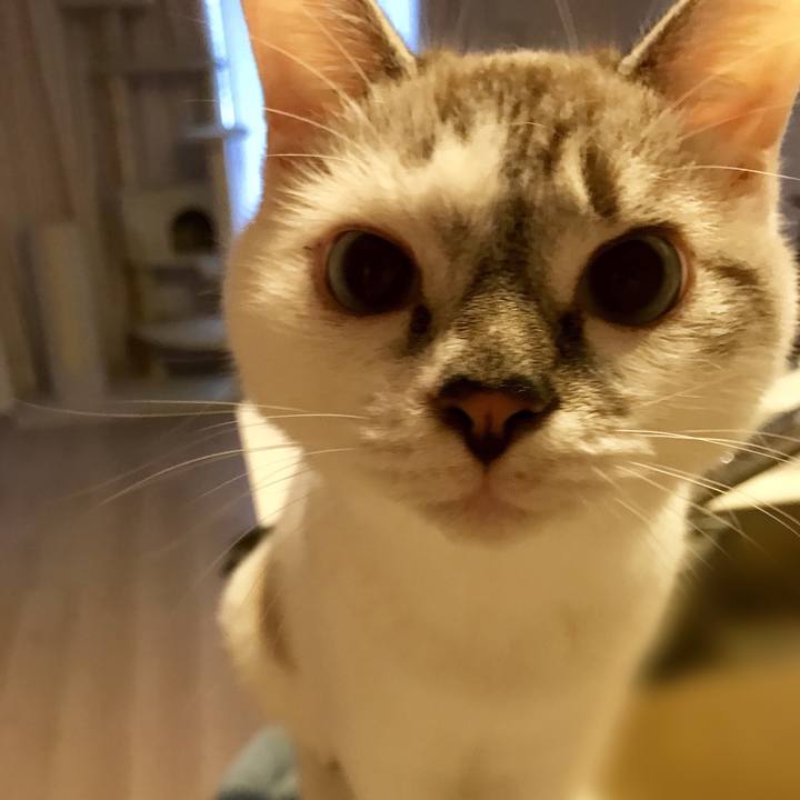 17ba7701 aa83 4cd7 a910 4a7eaf91453a