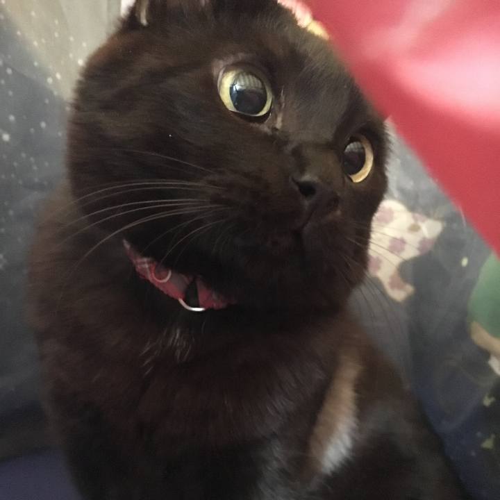 17baaa10 ea1b 4da6 b7cf 33f555c113e3