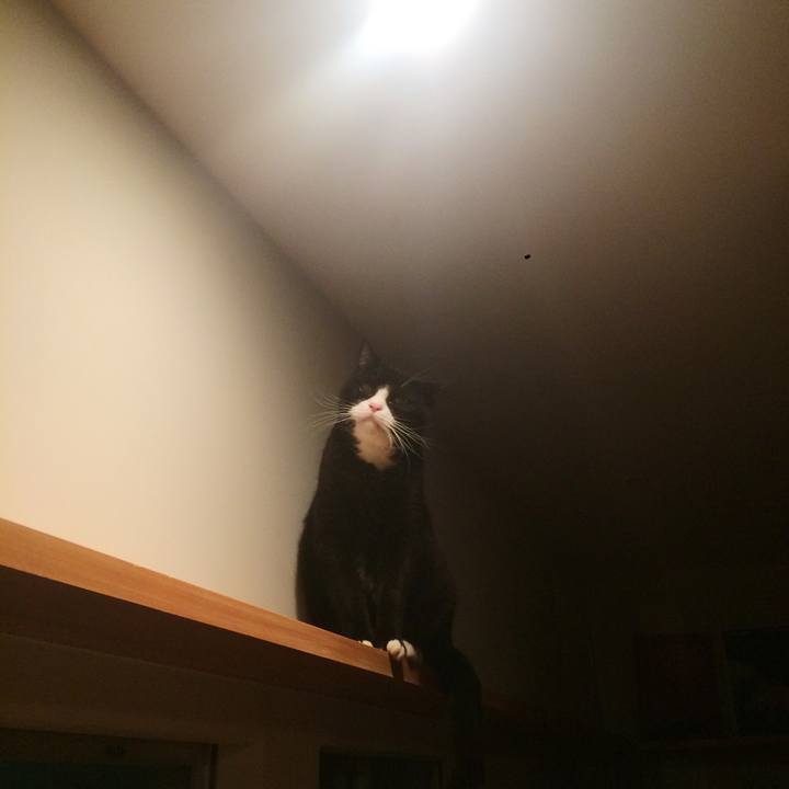 17badf45 0a0e 4a75 919e 619ac4a5f468