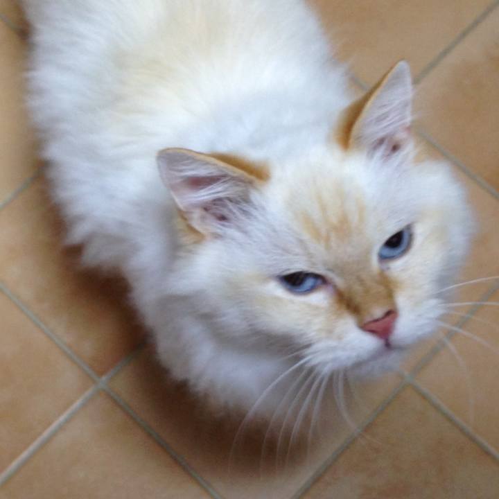 17baf2ba 645b 41d0 89e8 4faf0792f7d0