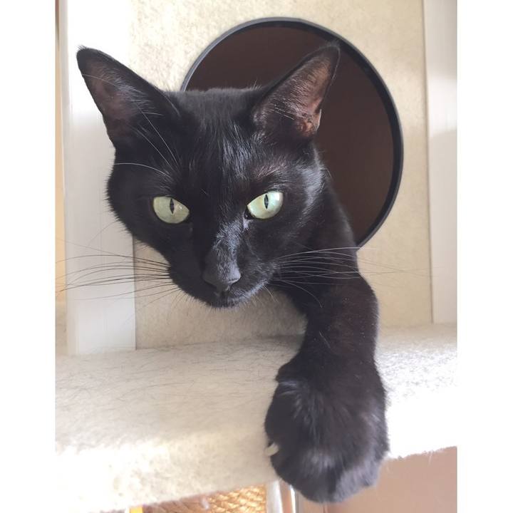 17bbde01 f4ee 449b ace2 51149c25ea31