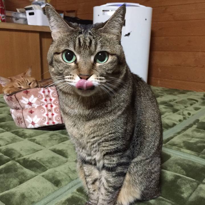 17bc9d48 8f15 42a2 9068 ef315dbdb220