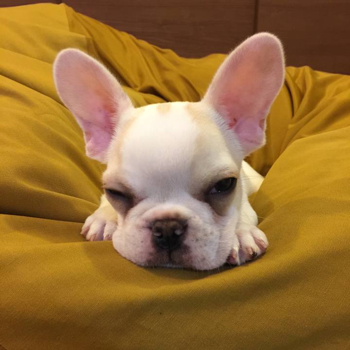 17bca48e 3487 4fa3 8b02 512b352dd45a