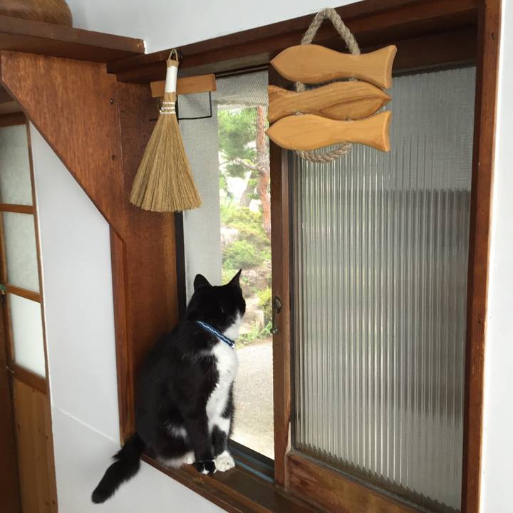 17bcab6e 72de 4c10 bb0a 5c6cbc513e74