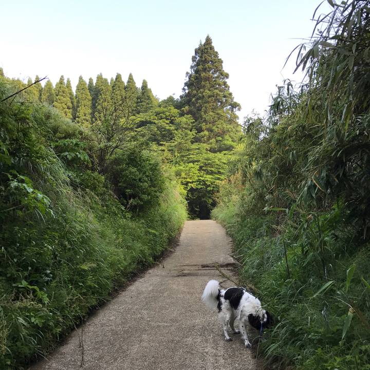 17bcb4a5 faad 4e99 85ad 96dd290dc178