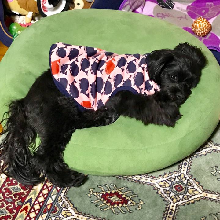 17bd0bf9 3de1 4ace 9d43 799760466260