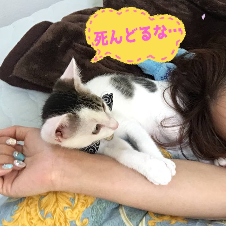 17bd50fb 84d4 4e34 8452 3466afa51dc8