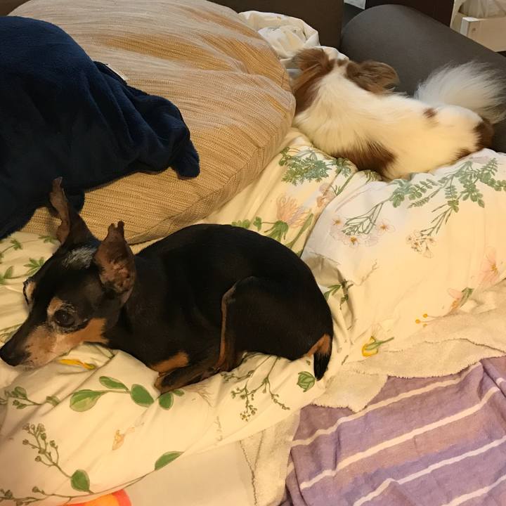 17bde834 4aa2 48f6 b822 9fa7c9724572