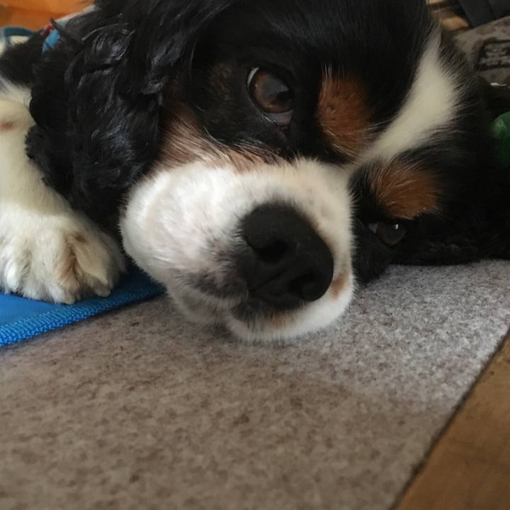 17be29d8 3d5f 4eaa a61b eafb854f890c