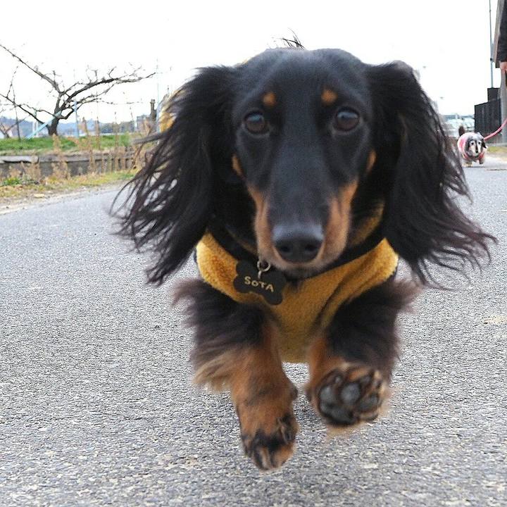 17bedd18 d070 4e0e 9676 59faa045ddbe