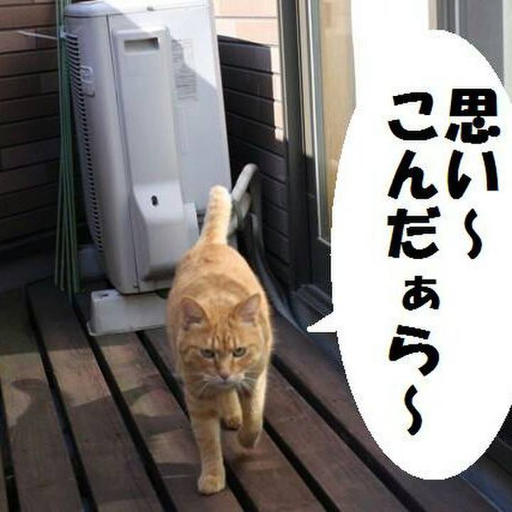 17bf3343 c52e 4abd 8c3f f24366dc52db