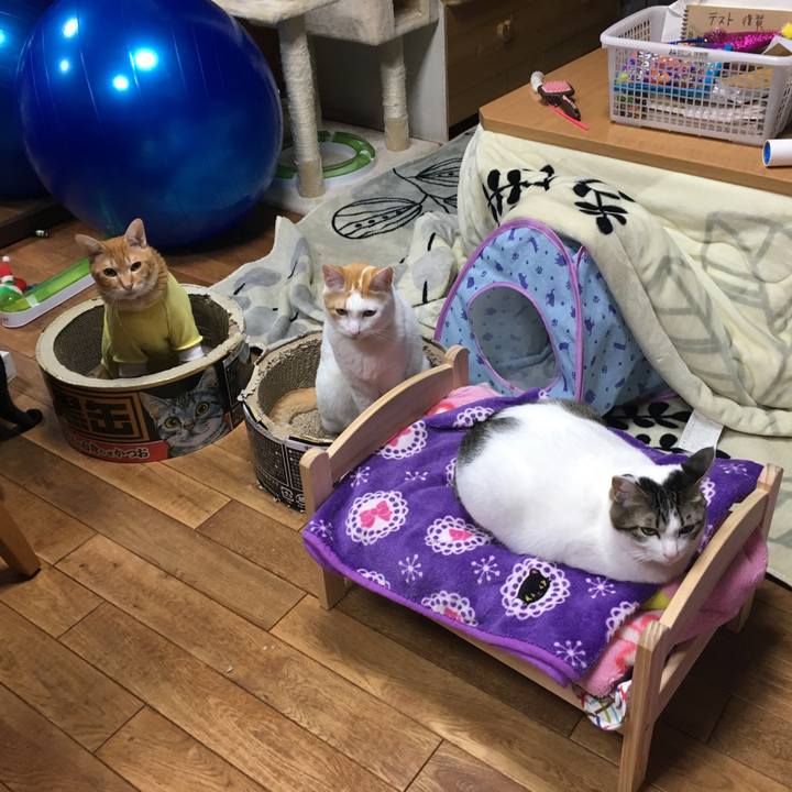 17bff217 a8ce 4bc2 9319 7c8d1e3c420f