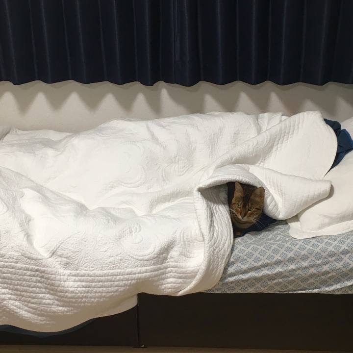 17c11fa2 013e 4e16 819f 45f3d109a5a3