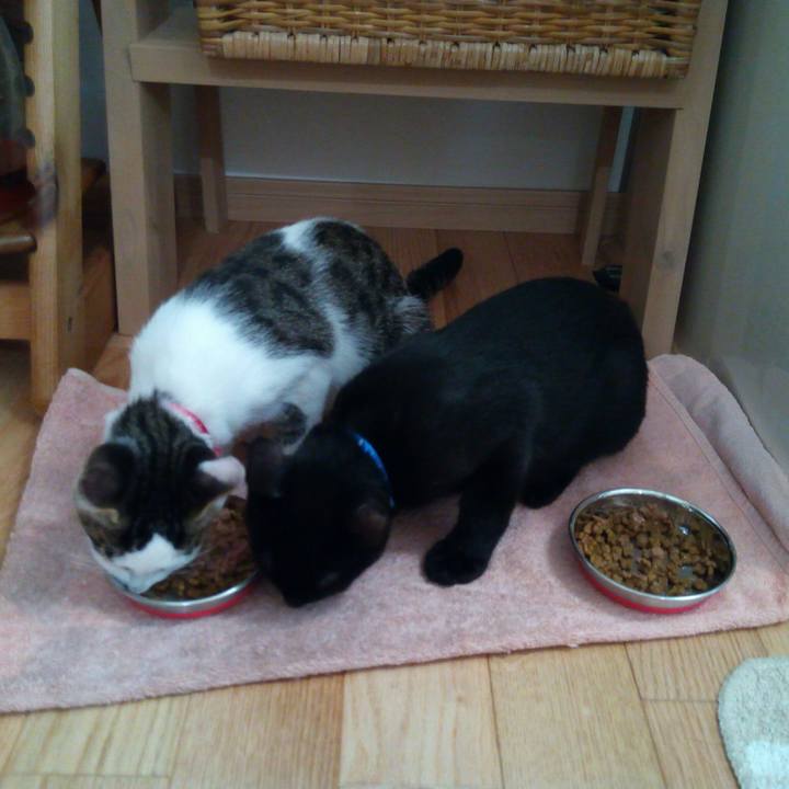 17c1b549 dabe 42d5 8ebb 06c70b4ed583