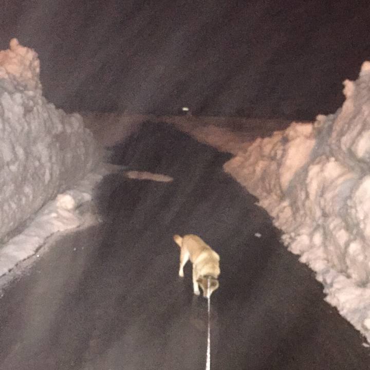 17c24373 9221 4d73 a934 11d3c7bf8adf