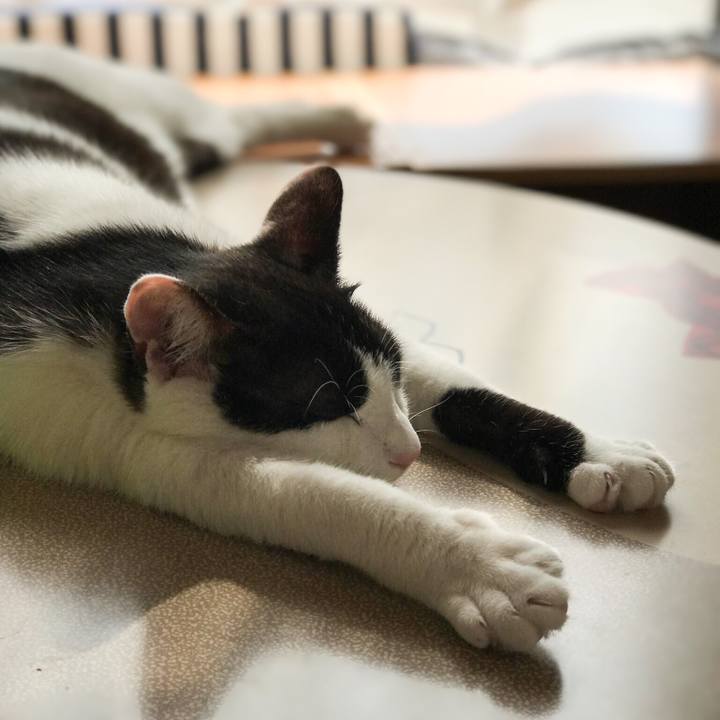 17c25d85 1d38 4cc2 9d05 a01fa97f2e8e