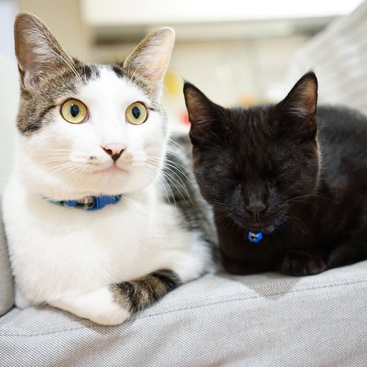 17c27209 da16 4374 9693 e57a78f49518