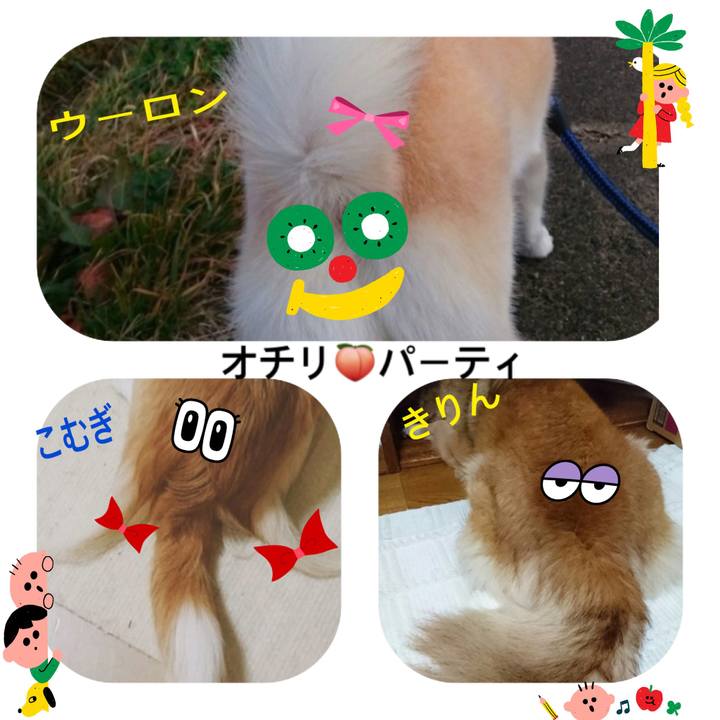 17c2bcab f275 4a5c 87e3 726287025464