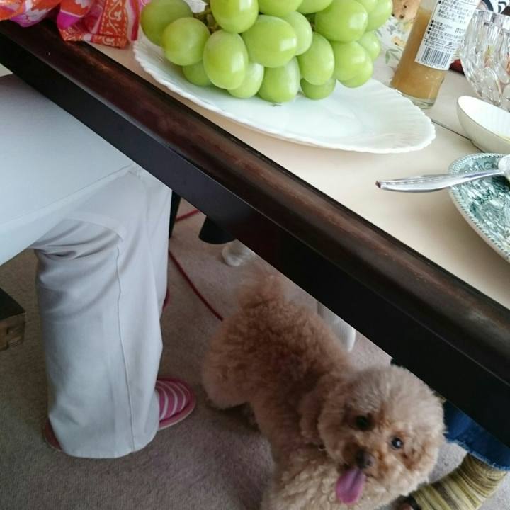 17c31e96 2759 4dd9 9a4f fff7a633bb30