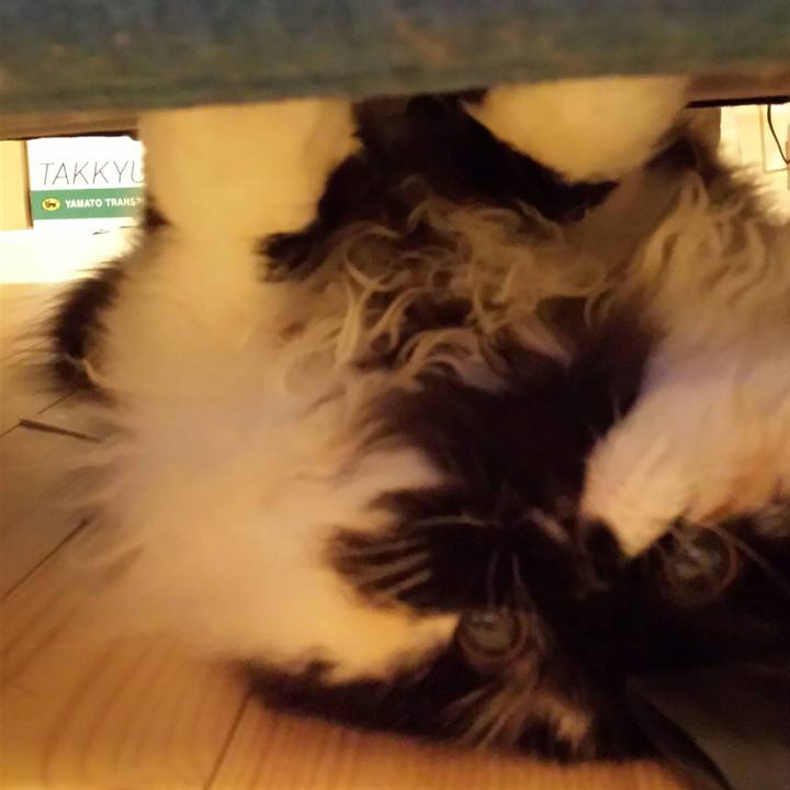 17c39a4a f45d 4659 ae22 642e96c837d7