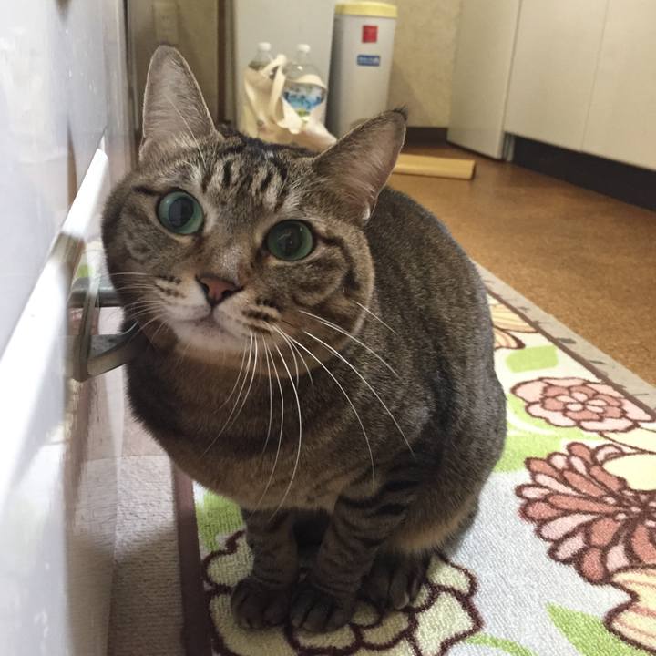 17c39e3f 609b 4461 9bd6 584f3066a3a4