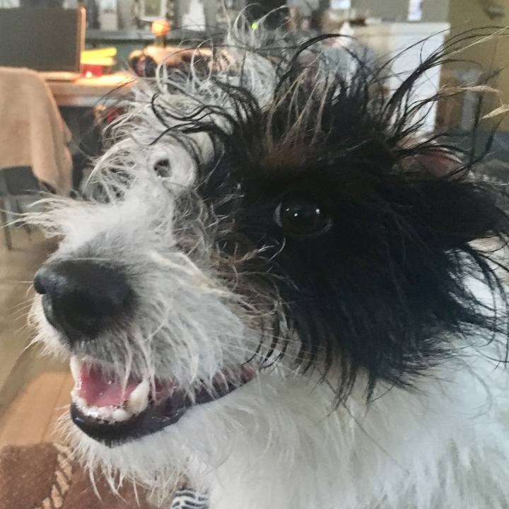 17c3aa3d 8c5b 43ed ba0b 51e6539d29ba