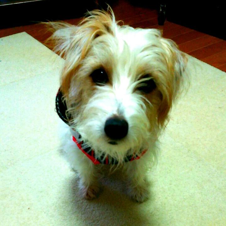 17c41e27 ed47 4825 8e21 b8d45ce070fa