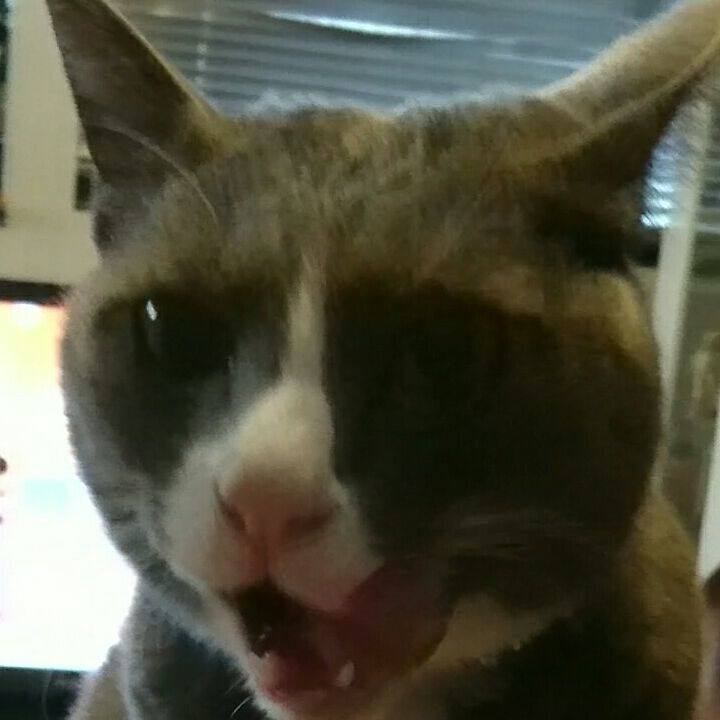 17c4a084 729c 4237 8f76 a21f91ef7bca