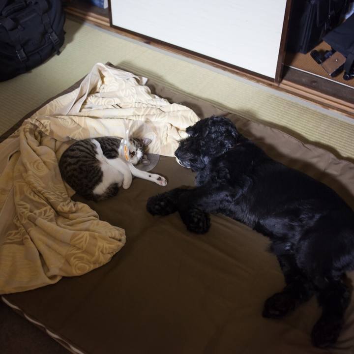 17c5c20e 73a7 41af 9b6a b27b9f437892