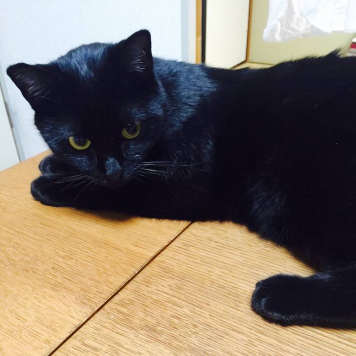 17c5fa7c f87d 460a b6af 47b0276a96c8