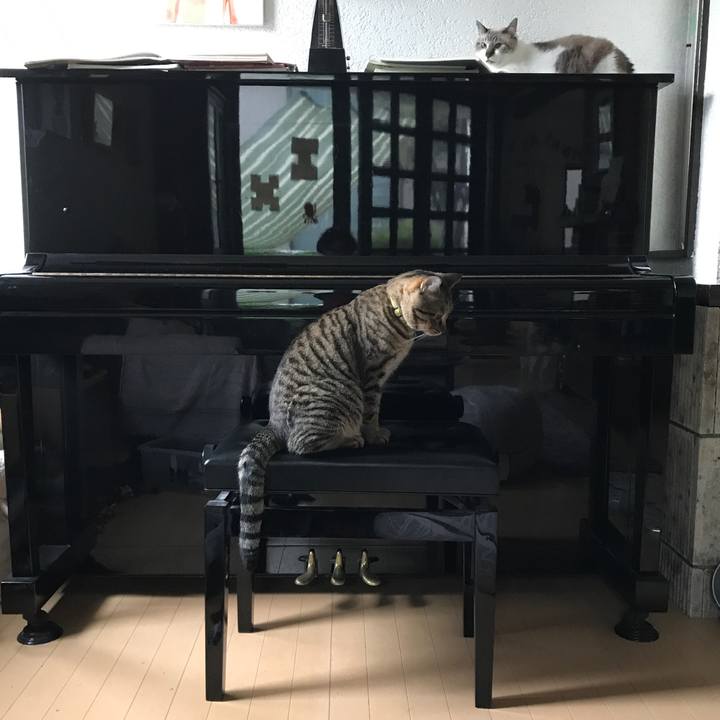 17c6183c ed8b 4e18 a04b 535fdad73187