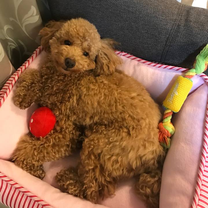 17c66ef3 1c2c 440b aef7 7383378579d4