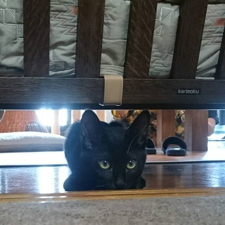 17c84717 2c79 48bc 84e2 127eace7f1db