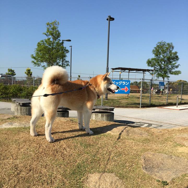 17c84b48 f1f3 4158 8215 d2e48ead911c