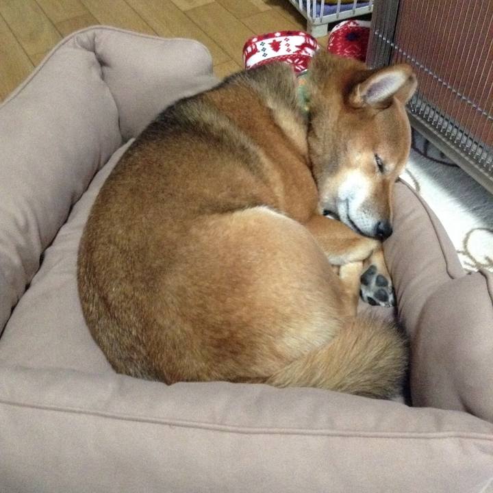 17c8c9de 545c 4085 999e c0be34d89093