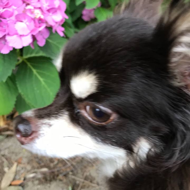 17c92d95 420b 4992 8292 a1a46f99aad0