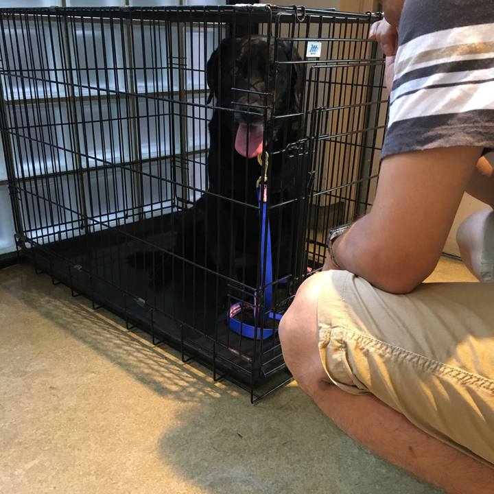 17c9b61a 94e1 4e7c 86c2 a3a2148a7be6