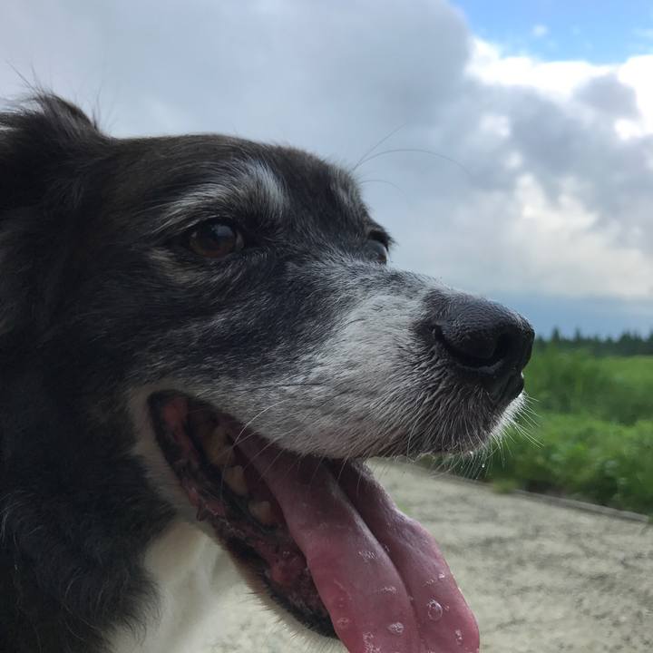 17c9bd31 e226 4e5f bbb0 b975fb4d5ac2