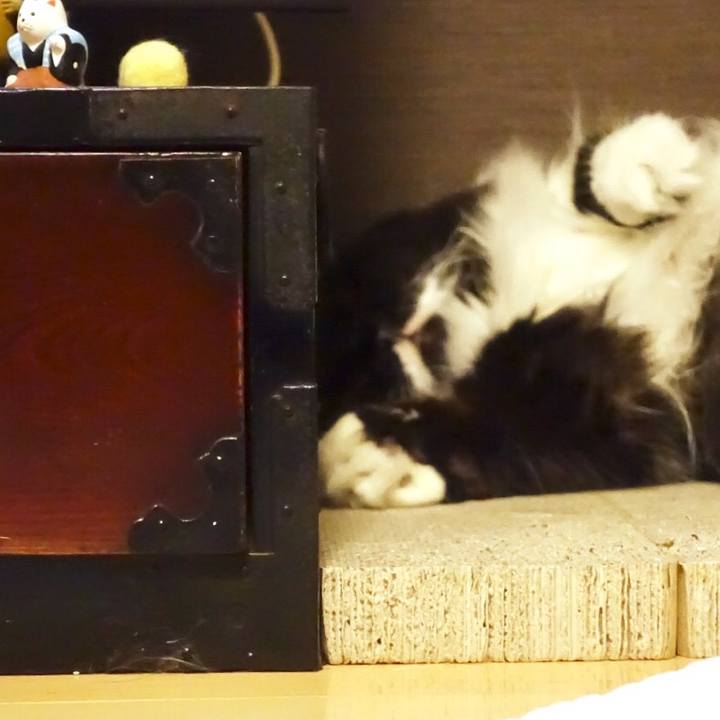 17ca7905 0330 4b65 96ca 36ec783d8e13