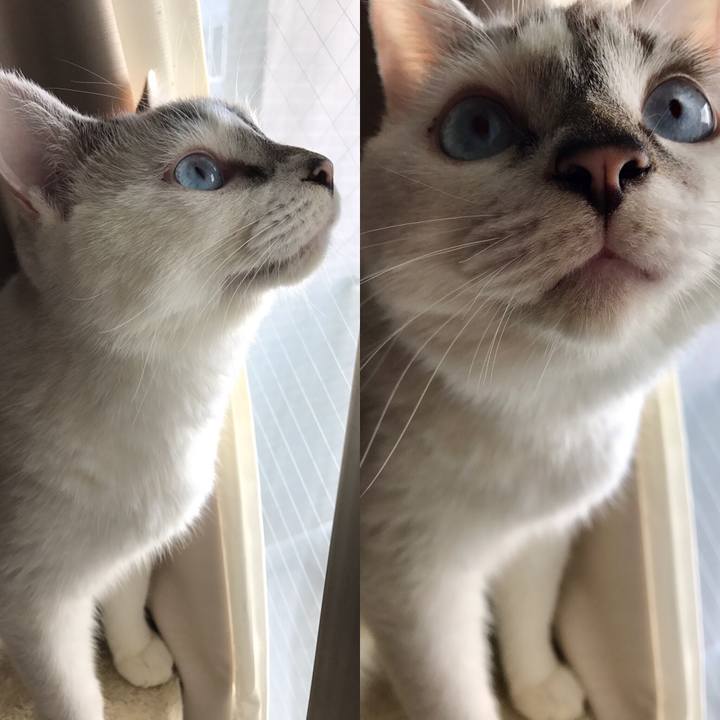 17caa4e7 3cec 4a7c a5f9 04f2ec6618e0