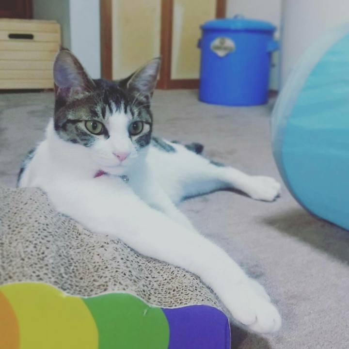 17cb5673 515d 48c3 952d a7bf0cd6b8b2