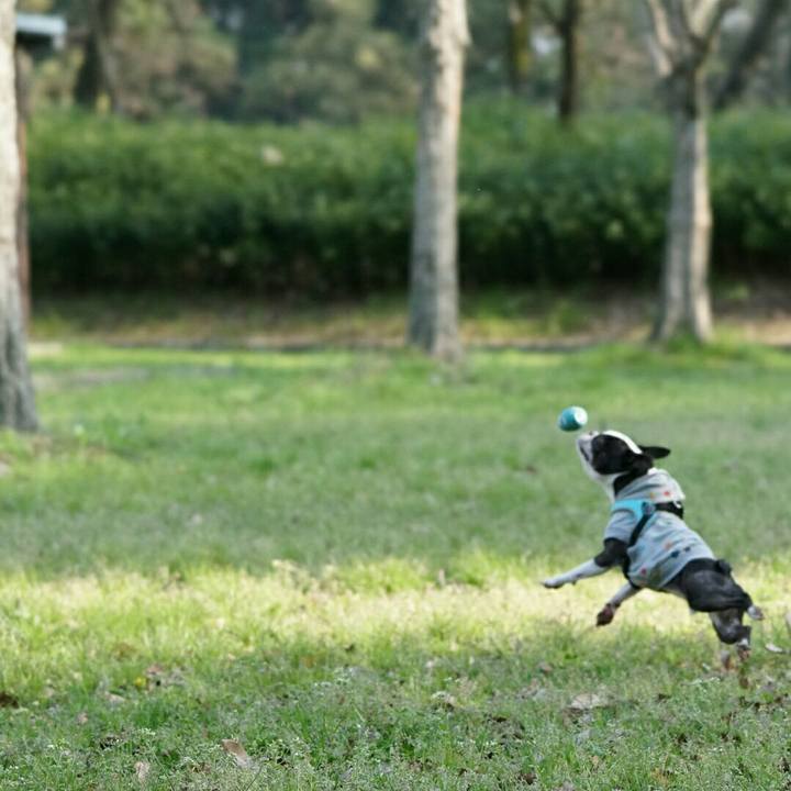 17cb694e 4df6 4e20 9962 52e1e1622b43