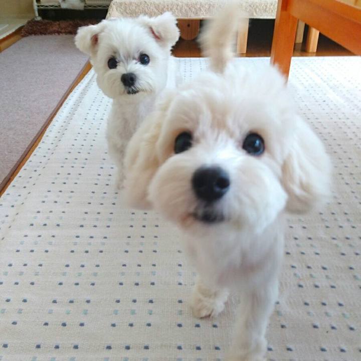 17cbb48e a0a6 40c1 819e bd236d0e6a19